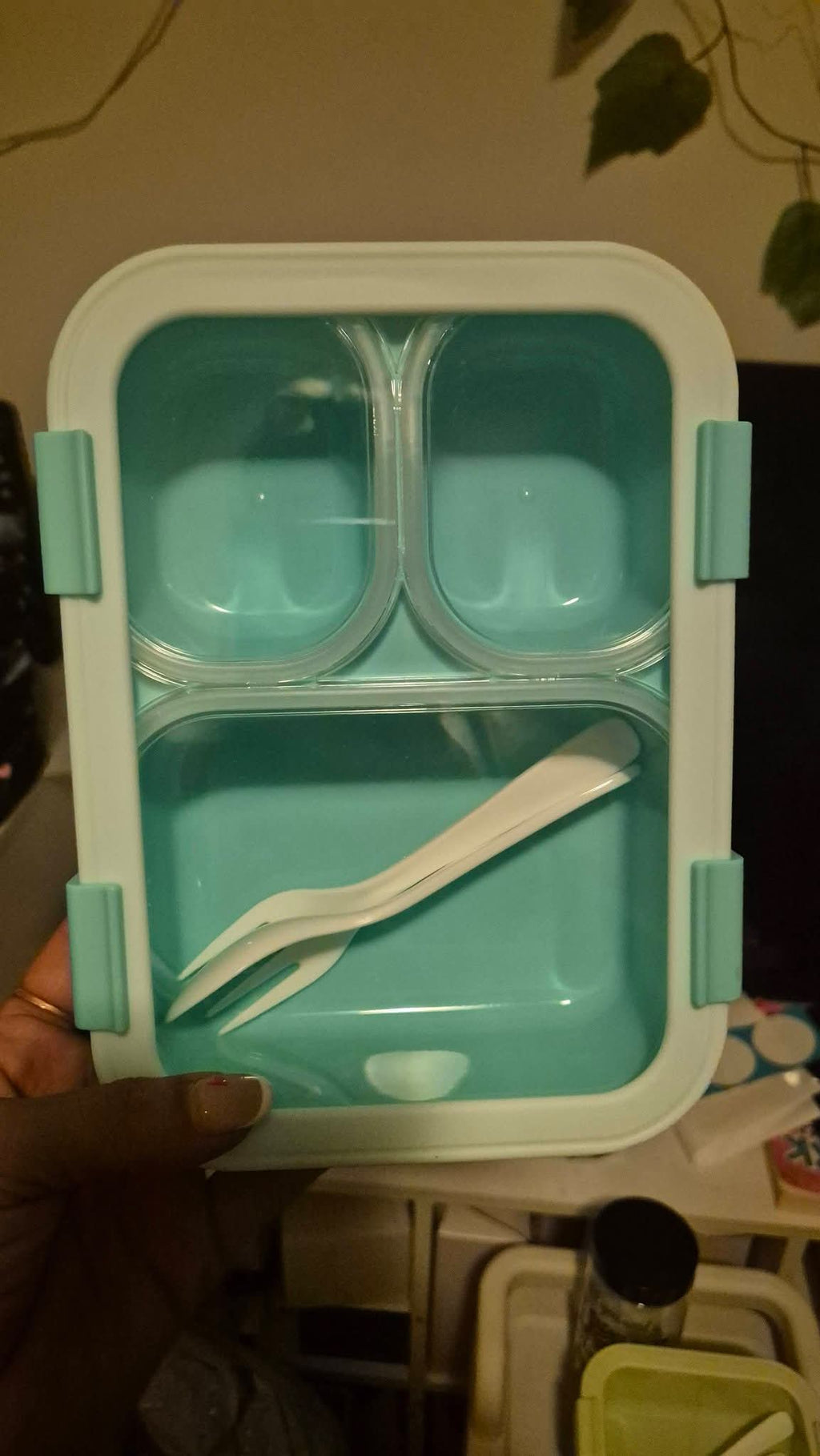 Lunch Boxes